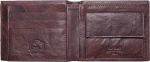 Pierre Cardin TILAK24 8807 Coffee