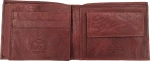 Pierre Cardin CM001 Brown