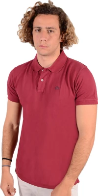 Emerson Ανδρικό Polo T-Shirt 211.Em35.69Gd-045 D.Berry
