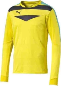 Puma Stadium Gk Shirt