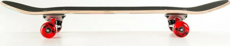 Fish Skateboards Distortion 31″