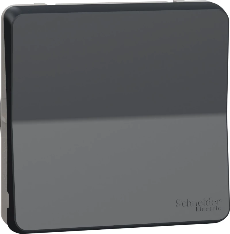 Schneider Electric Mureva Styl Aller Retour Anthracite