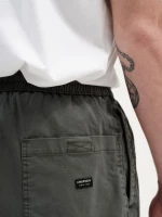 Emerson Baggy Short Pants - 211.Em48.98-Pine
