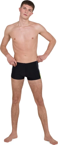 Speedo Ανδρικό Μαγιό Boxer Fw20 Dive Aquashort 11742-F318M Black-Lime