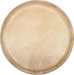 Club Salsa Conga Head - 11"