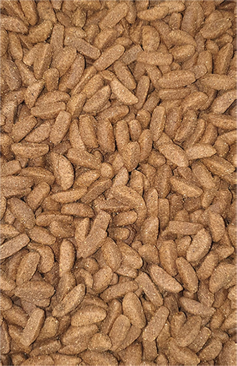 Viozois Exclusive Line Energy 15kg