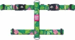 MAX MOLLY ΣΑΜΑΡΑΚΙ TROPICAL MEDIUM