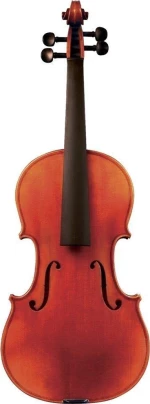 Gewa Maestro 41