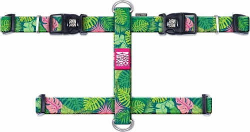 MAX MOLLY ΣΑΜΑΡΑΚΙ TROPICAL LARGE