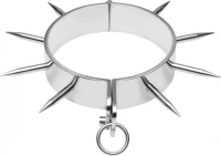 METALHARD STEEL SLAVE COLLARS