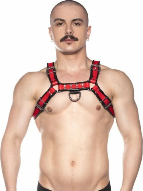 Prowler RED Bull Harness Black/Red Medium