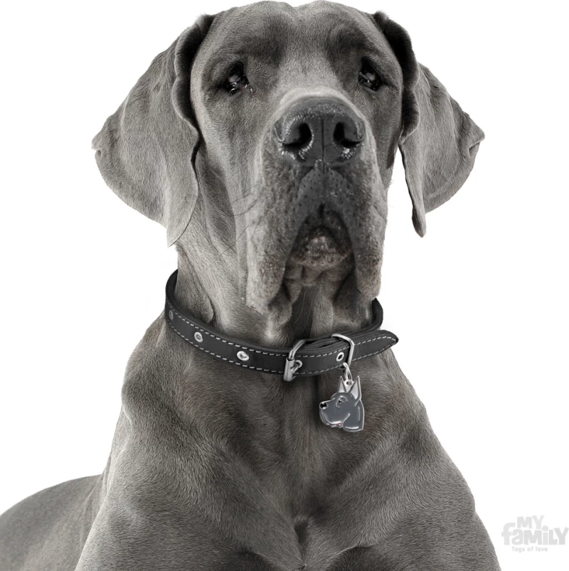ΤΑΥΤΟΤΗΤΑ ΣΚΥΛΟΥ MY FAMILY BLUE GREAT DANE