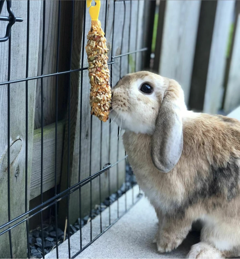 Lolo Rodent Sticks 90gr με Muesli