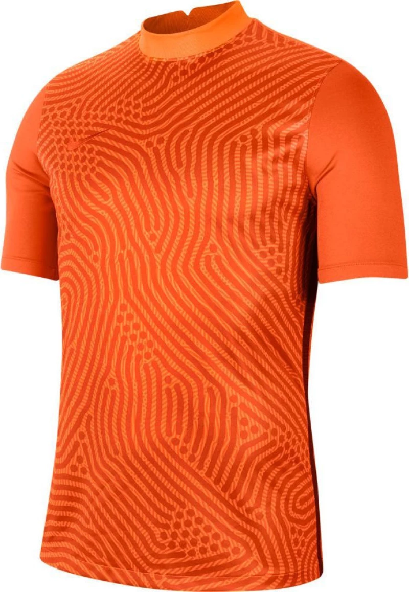 Nike Gardinien III Gk Jersey