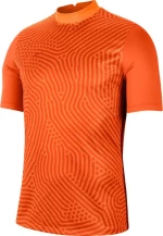 Nike Gardinien III Gk Jersey