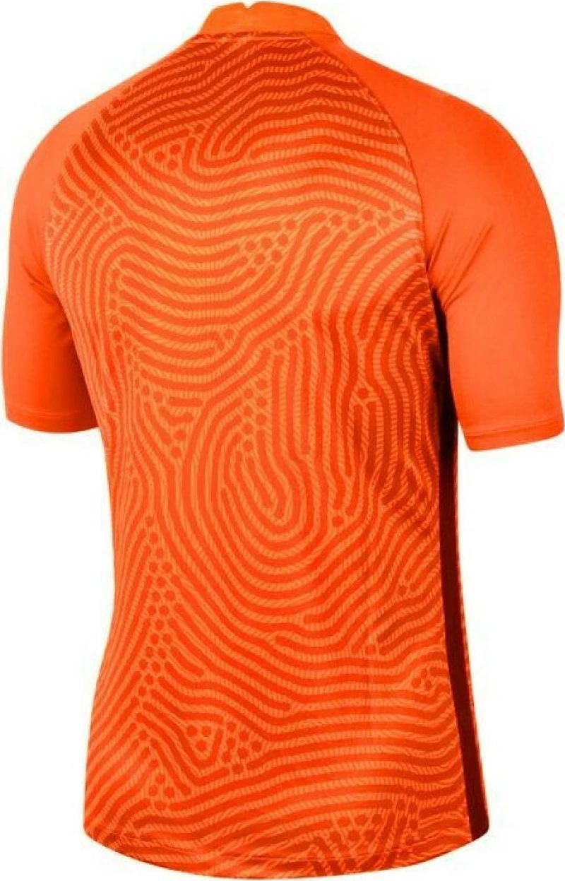 Nike Gardinien III Gk Jersey