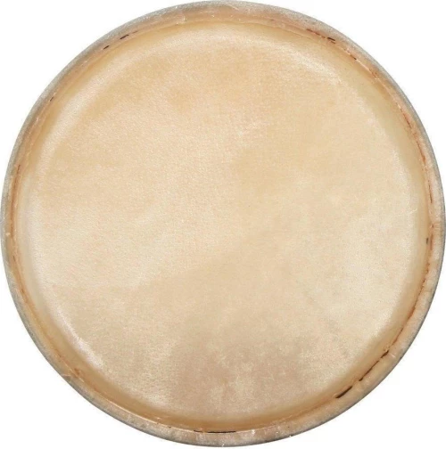 Club Salsa Conga Head - 12.5"