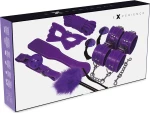 Experience BDSM Fetish Kit Purple Series