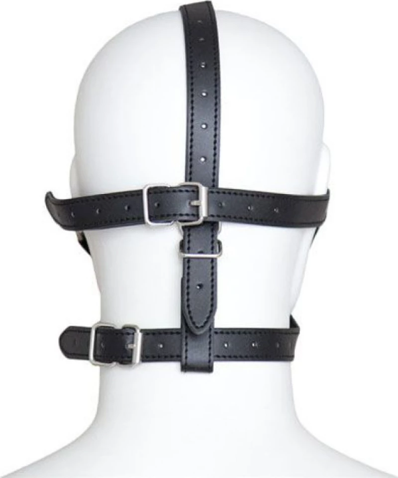 Rimba Total Head Harness Restraint