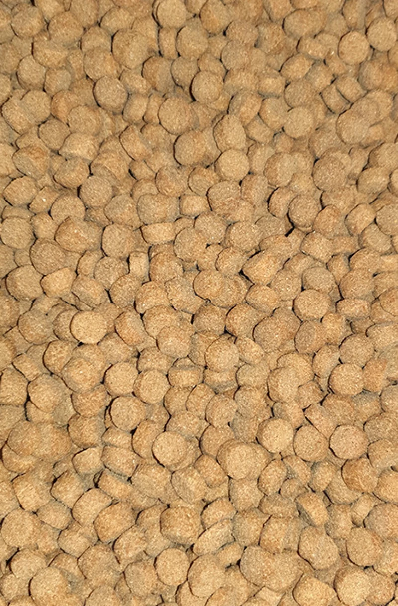 Laky Prolife Puppy 15kg
