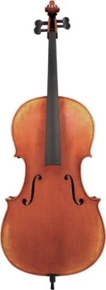 Gewa Maestro 46 German Style
