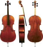 Gewa Maestro 6