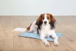 Trixie Cooling Mat 90x50cm Light Blue