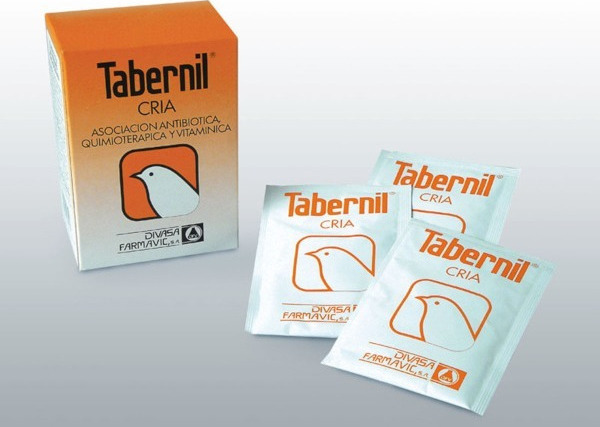 Tabernil Cria 10s/10