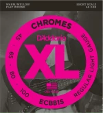 Daddario Short Scale XL Chromes Bass 45-100