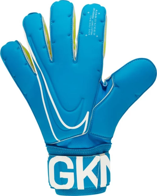 Nike Goalkeeper SGT Premier GS0387-430