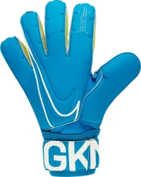 Nike Goalkeeper SGT Premier GS0387-430