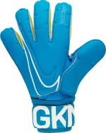 Nike Goalkeeper SGT Premier GS0387-430