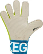 Nike Goalkeeper SGT Premier GS0387-430