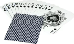 Bee Standard Index Blue