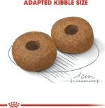 Royal Canin Medium Ageing +10 15kg
