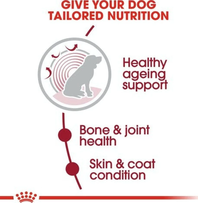Royal Canin Medium Ageing +10 15kg
