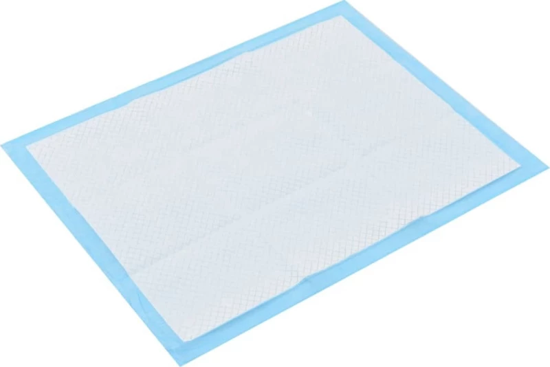vidaXL Non Woven Πάνες Εκπαίδευσης Κατοικίδιου 60x45cm 100τμχ