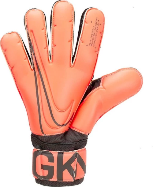 Nike Goalkeeper SGT Premier GS0387-892