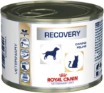 Royal Canin Recovery 195gr