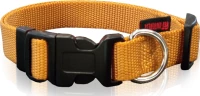 Pet Interest Plain Line XS Χρυσό 10mm x 19-33cm