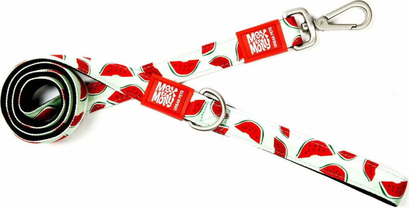 ΕΠΙΣΤΗΘΙΟ ΣΚΥΛΟΥ MAX + MOLLY WATERMELON LARGE
