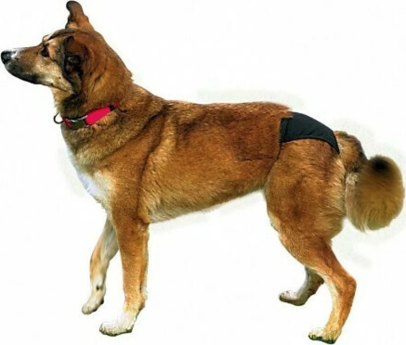 ΒΡΑΚΑΚΙ NOBBY ΜΑΥΡΟ No3 40-49cm