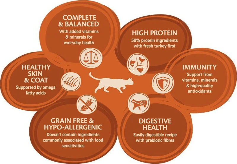 Wellness Core Original Grain Free Γαλοπούλα 1,75kg