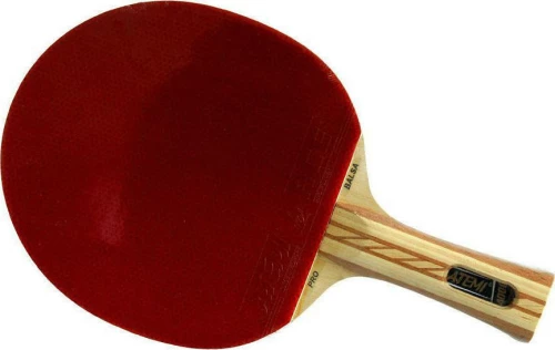 Atemi 4000 table tennis racket