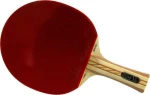 Atemi 4000 table tennis racket