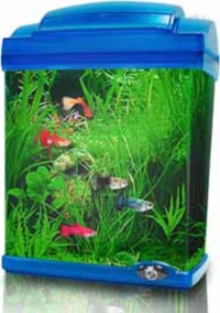 Pet Camelot 21.5x14x28cm 7lt Μπλε