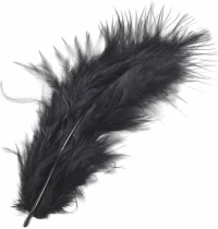 Φτερά Μαραμπου 10cm 15τεμ -black