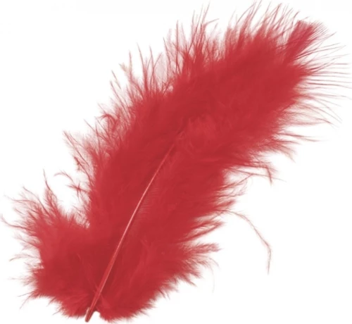 Φτερά Μαραμπου 10cm 15τεμ -red