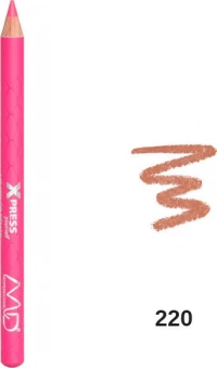MD Professionnel Xpress Yourself 220
