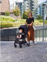 Chicco Trolley Me Stone